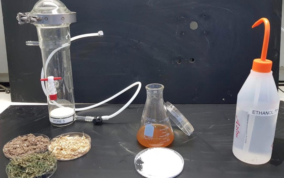 Científicos israelíes usan desechos para hacer alcohol desinfectante