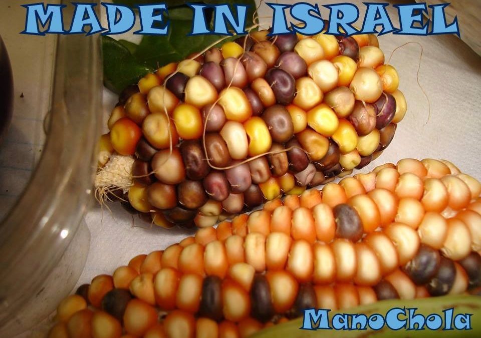 Cocina peruana desde Israel: maíz, ají e Inca Kola producidos en Medio Oriente
