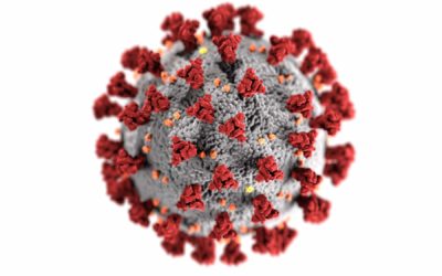 ¿El final del túnel del coronavirus? Expertos israelíes indican que la pandemia puede estar llegando a su fin