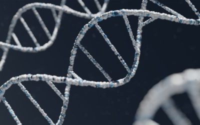 Identificando una mutación que combate la enfermedad degenerativa ELA, investigadores israelíes se acercan a un tratamiento
