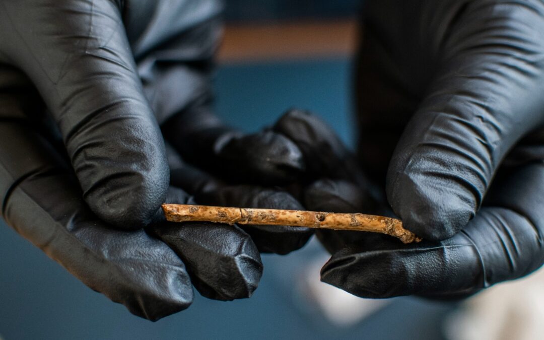 Arqueólogos descubren y replican el instrumento musical más antiguo del Medio Oriente